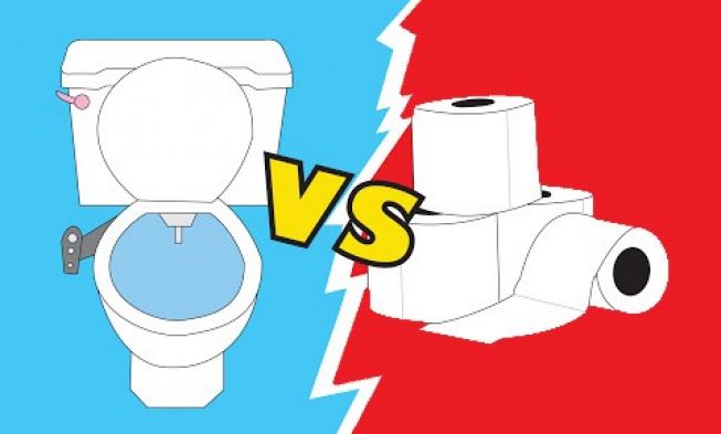 Copywriting Services 2024 bidet vs toilet paper